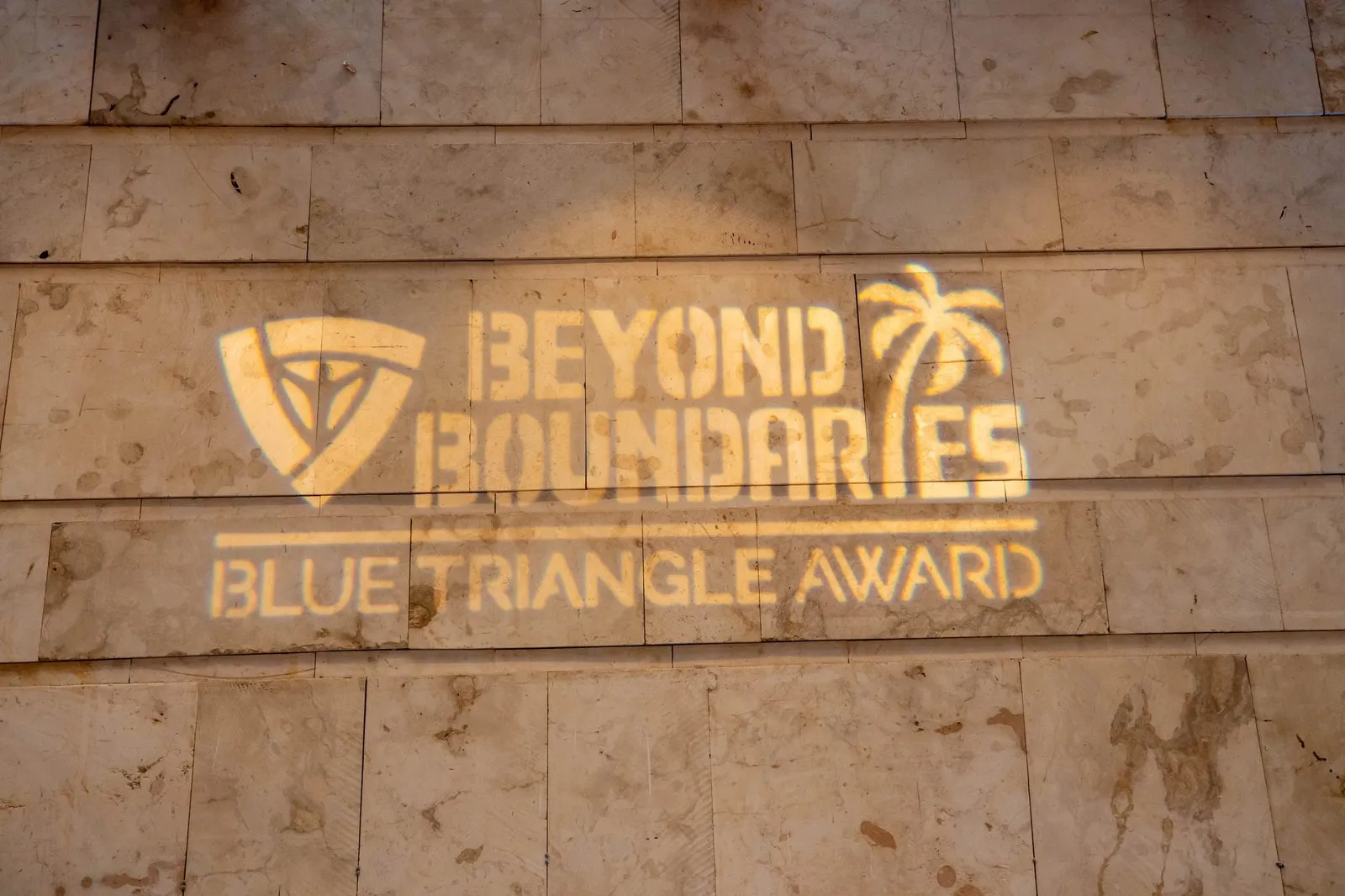 Blue Triangle Awards – 2025 — Advertising Media, Consulting by Network Frequency (9)