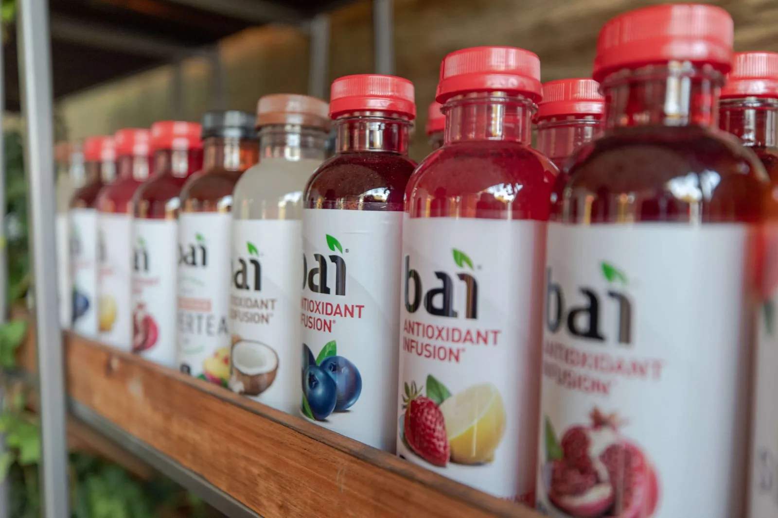 Bai Brands – Austin City Limits 2019 — Advertising Media, Photography by Network Frequency (4)